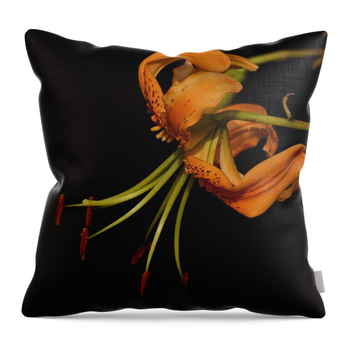 Tiger Lily Throw Pillow featuring the photograph Tiger Lily 2020 by Richard Cummings