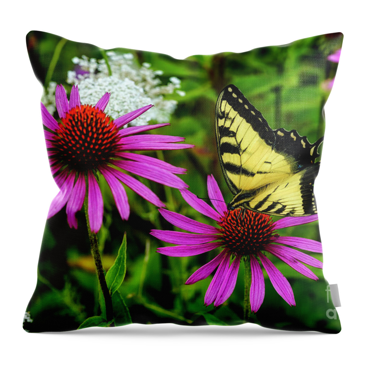 Purple Cone Flower Throw Pillow featuring the photograph Tiger Swallowtail Feeding on Echinacea by Thomas R Fletcher