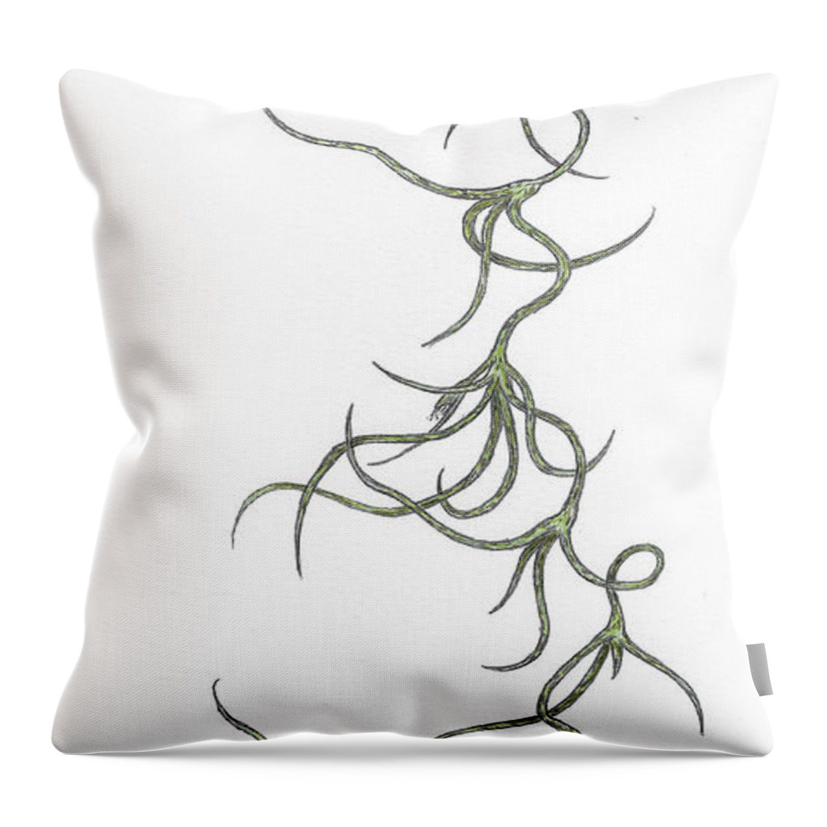 Tillandsia Throw Pillow featuring the drawing Tillandsia usneoides by Teresamarie Yawn