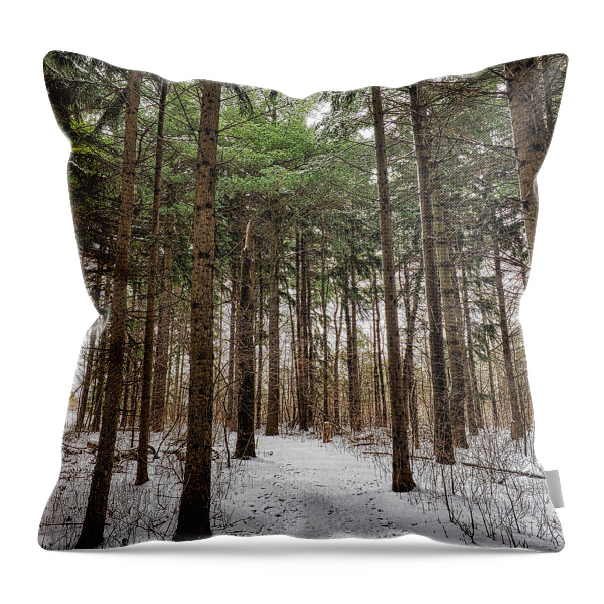 Tall Throw Pillow featuring the photograph Timber Walk by Scott Olsen