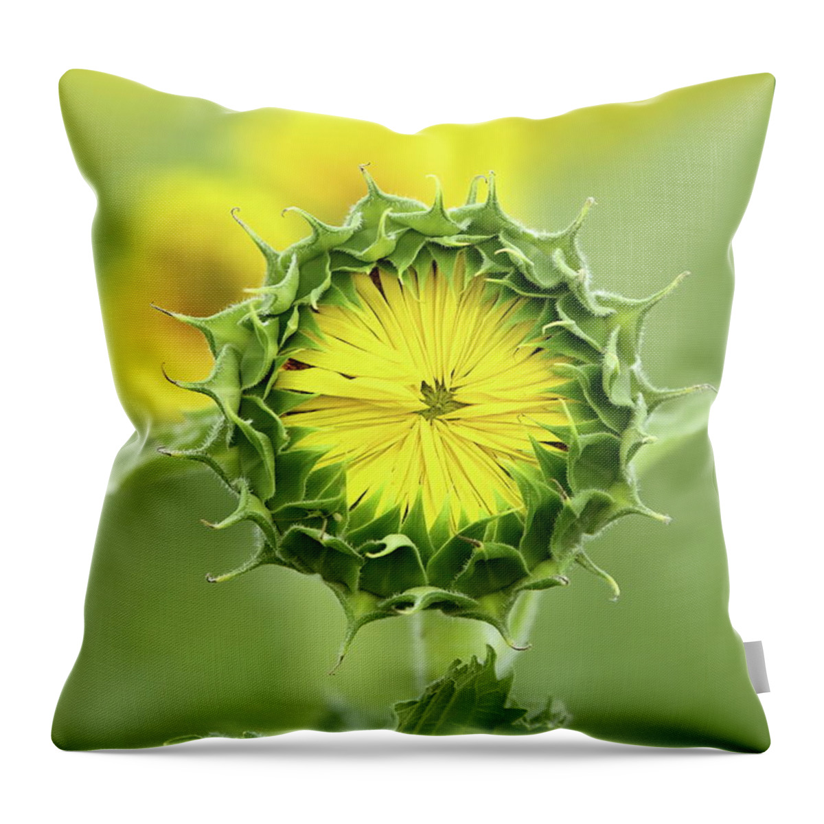 Sunflower Throw Pillow featuring the photograph Time To Wake Up by Lens Art Photography By Larry Trager