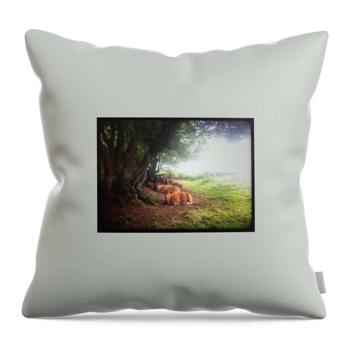 English Landscape Throw Pillow featuring the photograph Timeless by Mark Egerton