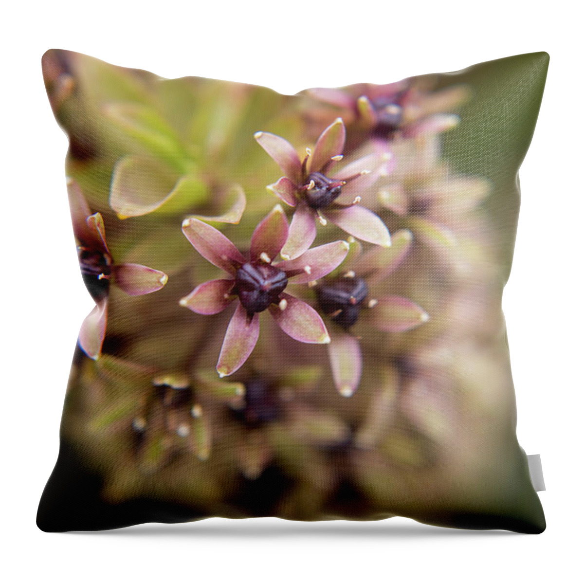 Spring Throw Pillow featuring the photograph Tiny Blooms by Stacy Abbott
