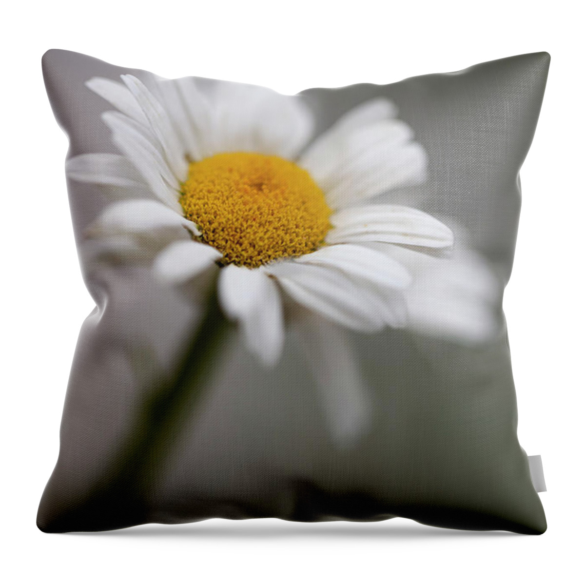 Wall Art Throw Pillow featuring the photograph Tiny Flower by Marlo Horne