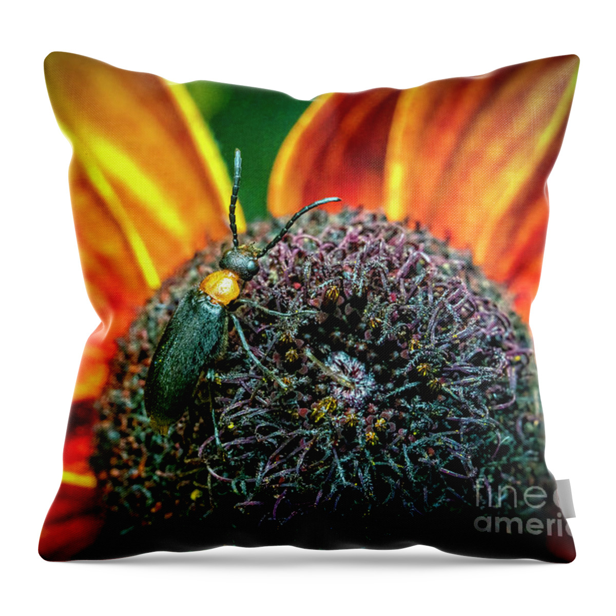 Insects Throw Pillow featuring the photograph Tiny World by DB Hayes