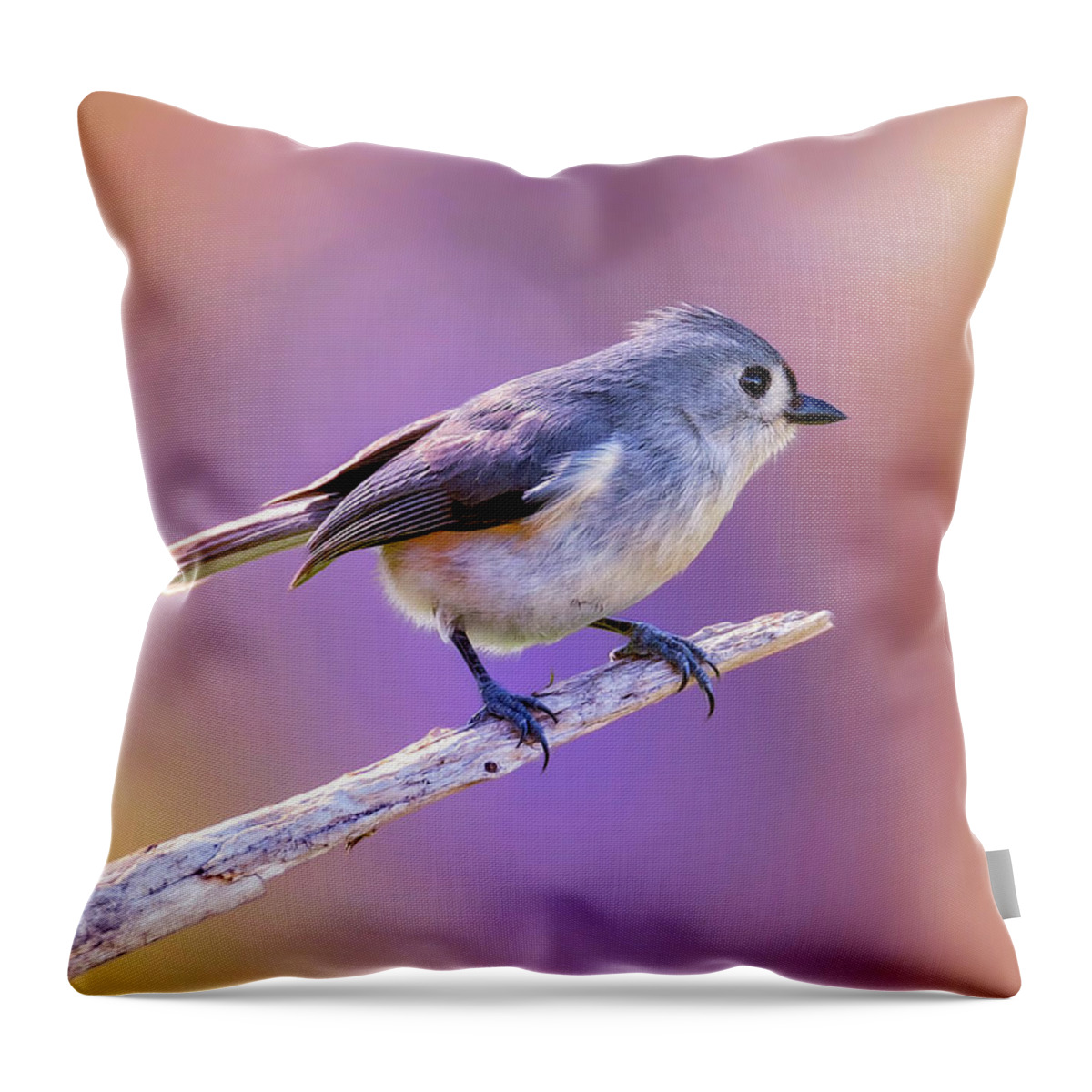 Bird Throw Pillow featuring the photograph Tit On Violet by Bill and Linda Tiepelman