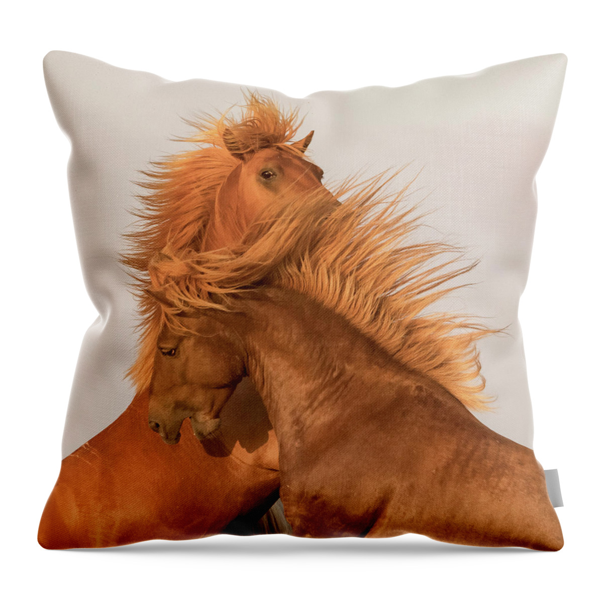 Assateague Island Throw Pillow featuring the photograph Tommy and SweetTea by Jen Britton