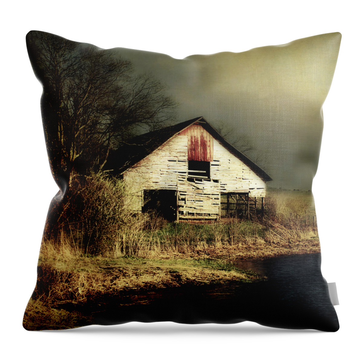 Barn Throw Pillow featuring the photograph Too Close for Comfort by Julie Hamilton