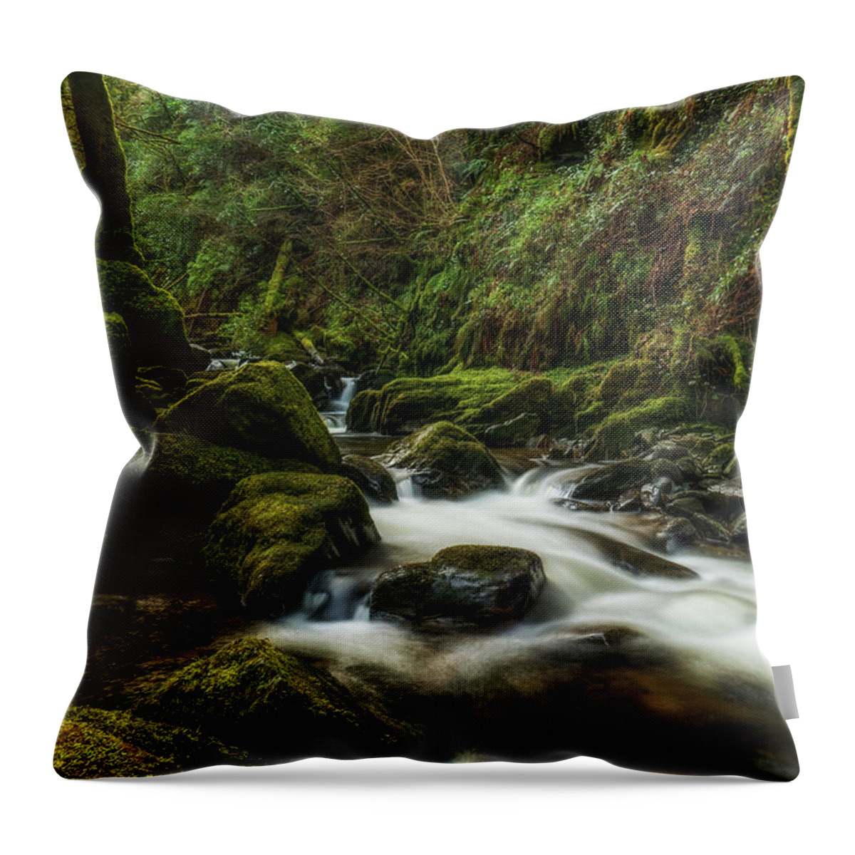 Ireland Throw Pillow featuring the photograph Torc Waterfall by Arthur Oleary
