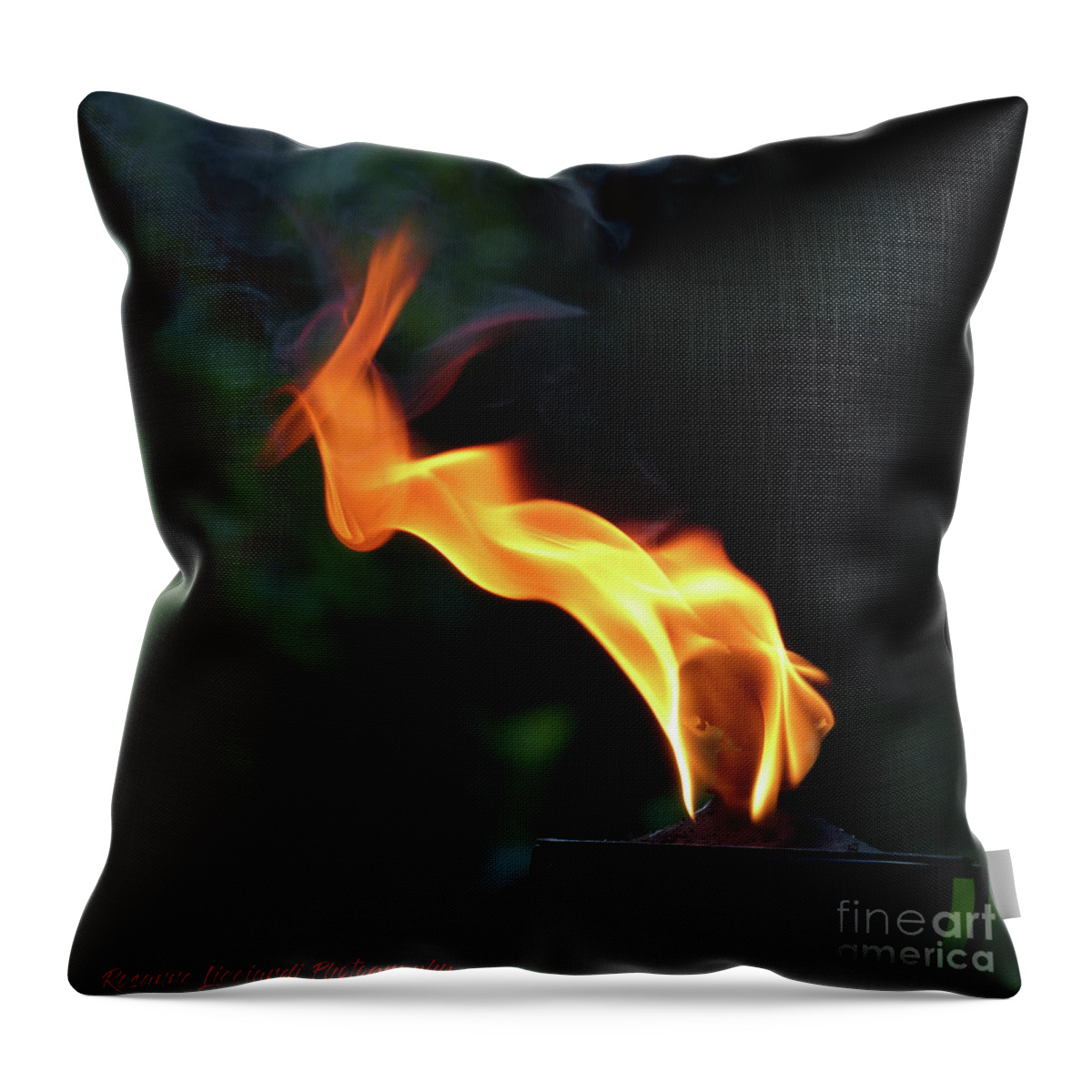 Exotic Throw Pillow featuring the photograph Torch Series V by Rosanne Licciardi