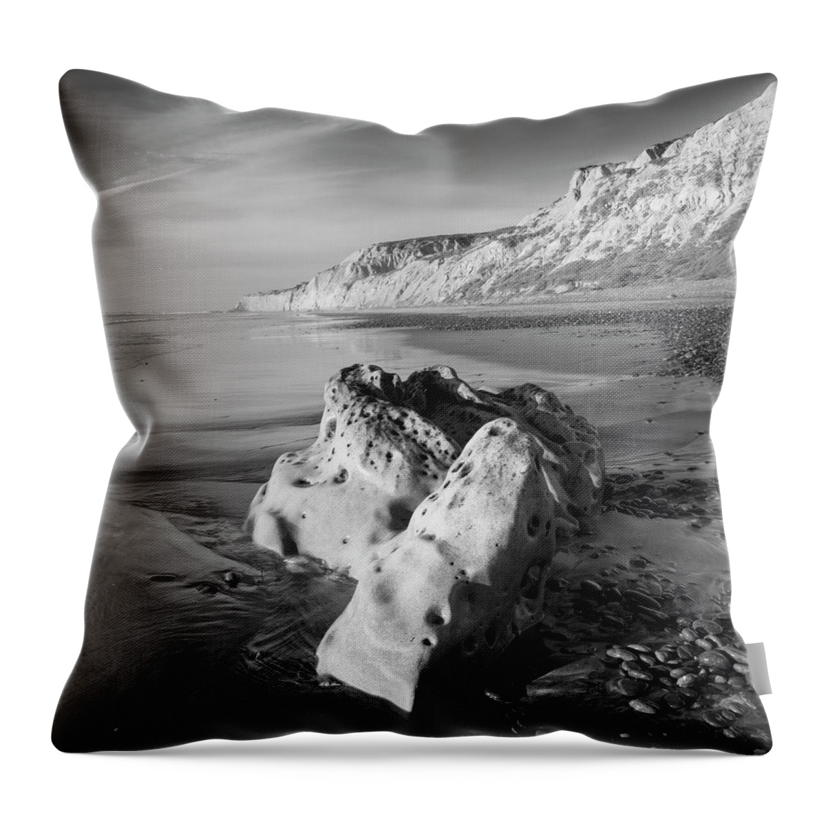 San Diego Throw Pillow featuring the photograph Torrey Pines Monochrome Beach by William Dunigan