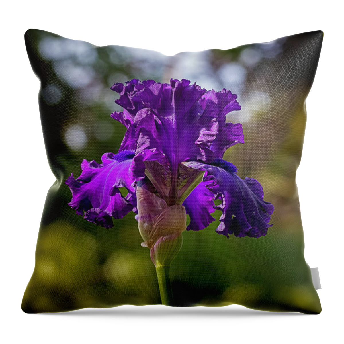 Color Throw Pillow featuring the photograph Totally Purple Iris by Jean Noren
