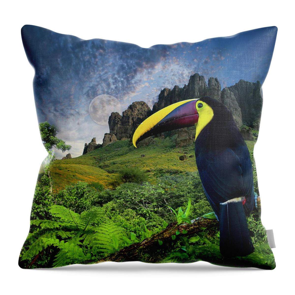 Toucan Throw Pillow featuring the photograph Toucan Moon by Russ Harris