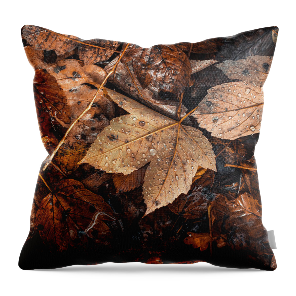 Colors Throw Pillow featuring the photograph Touch of colorful autumn by Vaclav Sonnek
