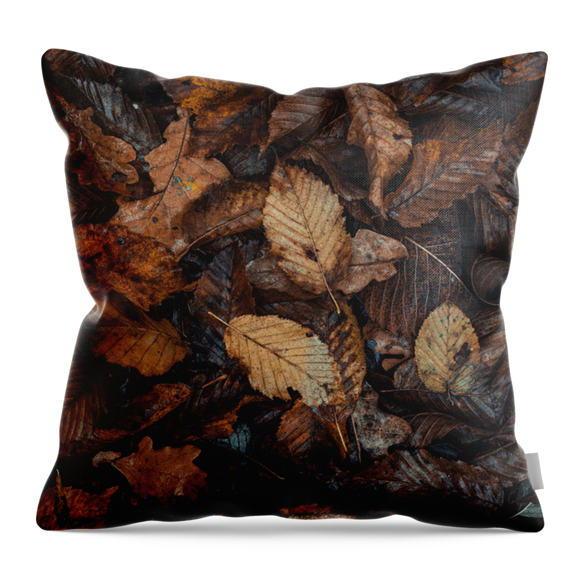 Purity Throw Pillow featuring the photograph Touch of colourful autumn by Vaclav Sonnek