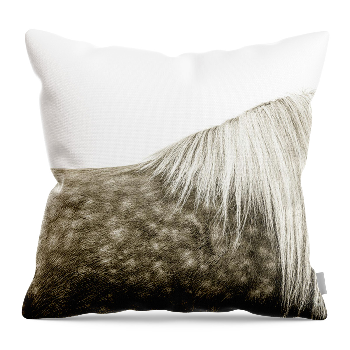 Photographs Throw Pillow featuring the photograph Touch of Gold - horse art by Lisa Saint