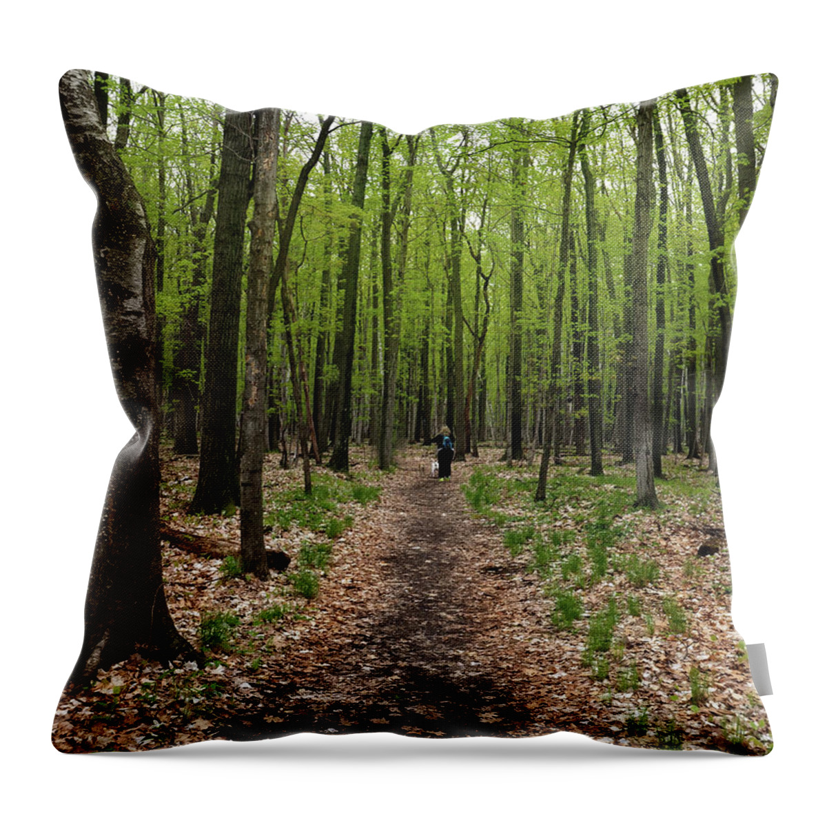 Hiking Throw Pillow featuring the photograph Trail in the Forest by James C Richardson