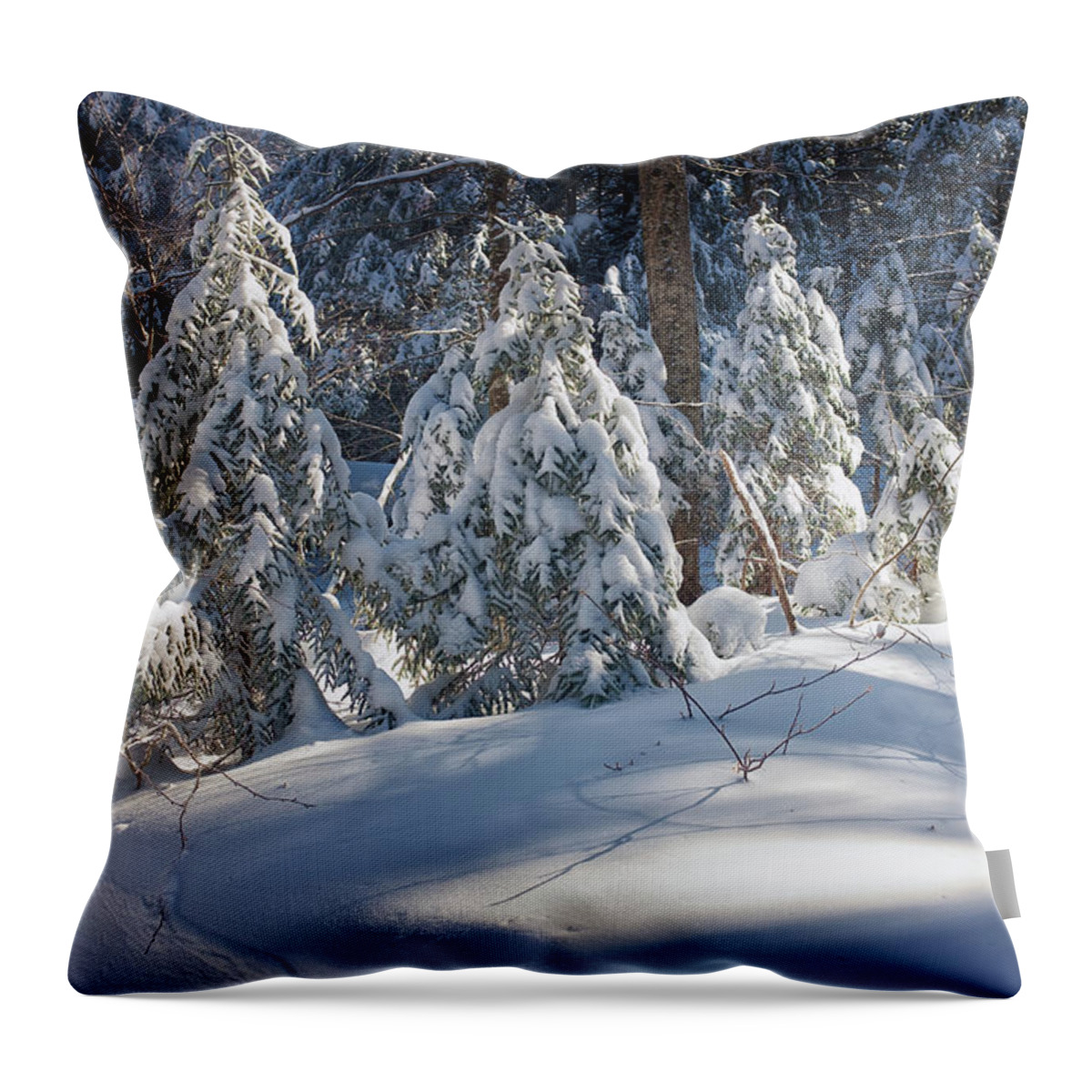 New Hampshire Throw Pillow featuring the photograph Trailside Light by Jeff Sinon