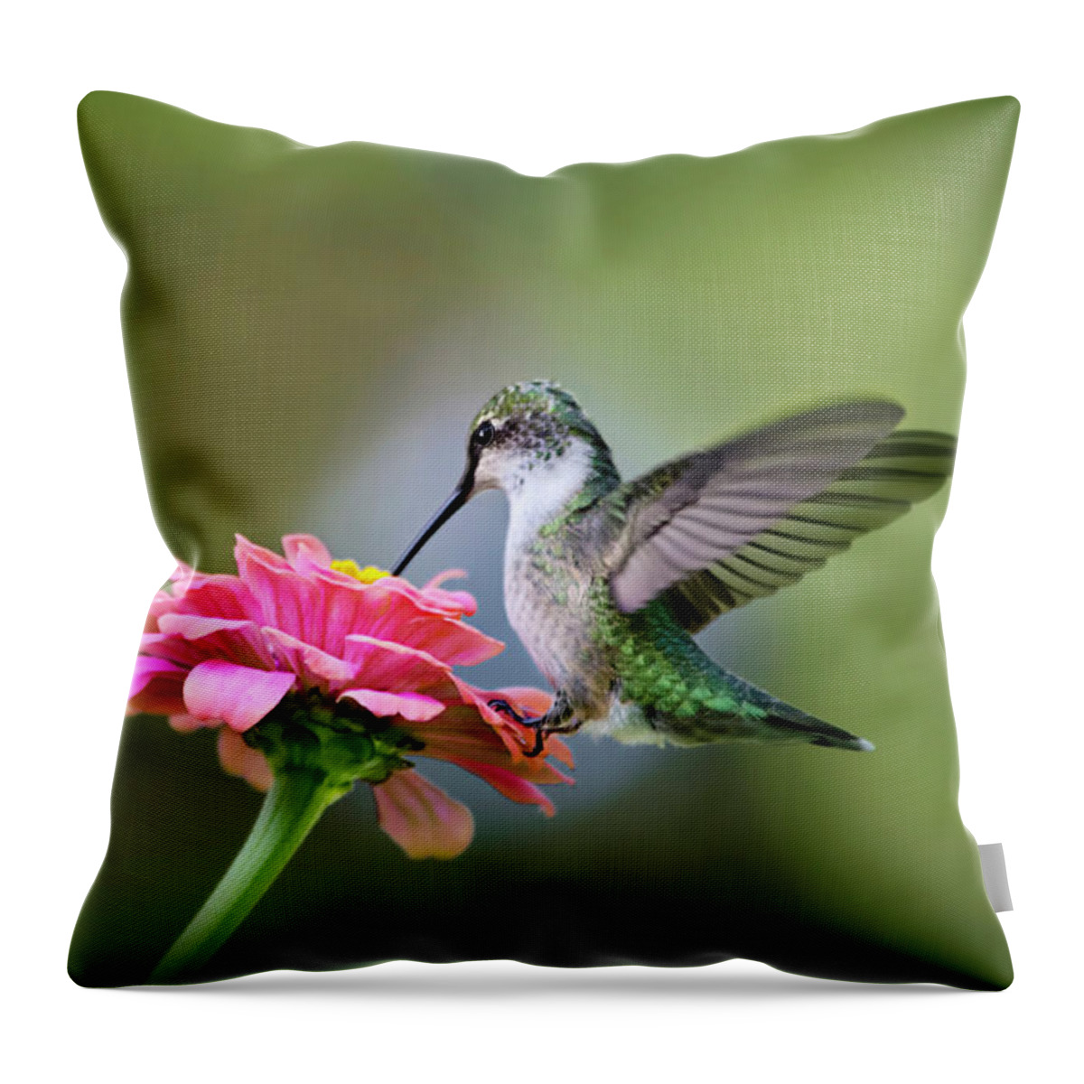 Hummingbird Throw Pillow featuring the photograph Tranquil Joy by Christina Rollo