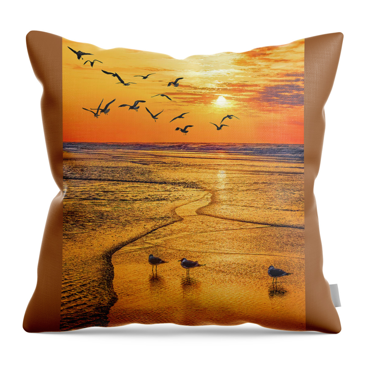 Beach Throw Pillow featuring the photograph Tranquility Base Vertical, South Carolina Sunrise by Don Schimmel