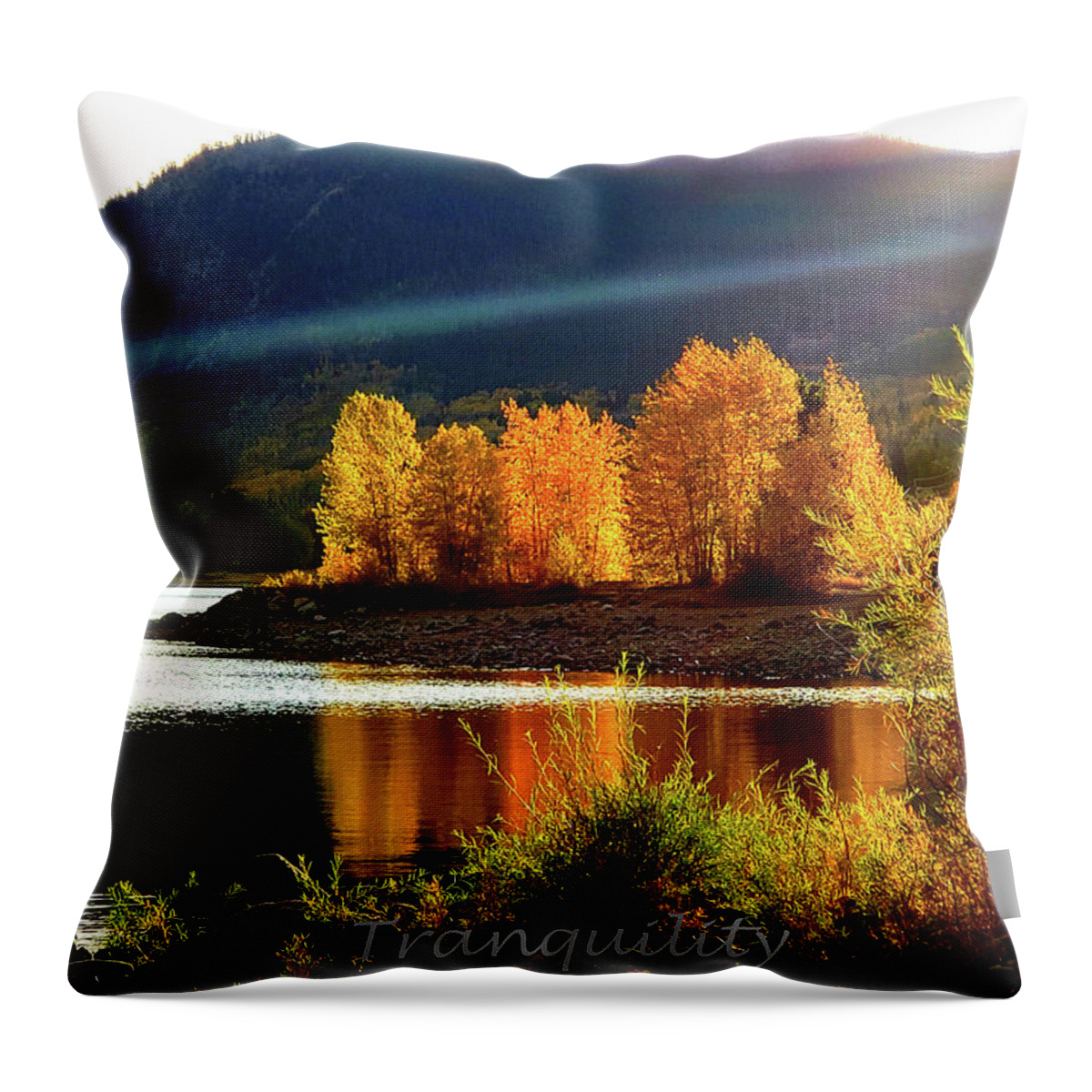 Schaefer Miles Throw Pillow featuring the photograph Tranquility by Kevin Wendy Schaefer Miles