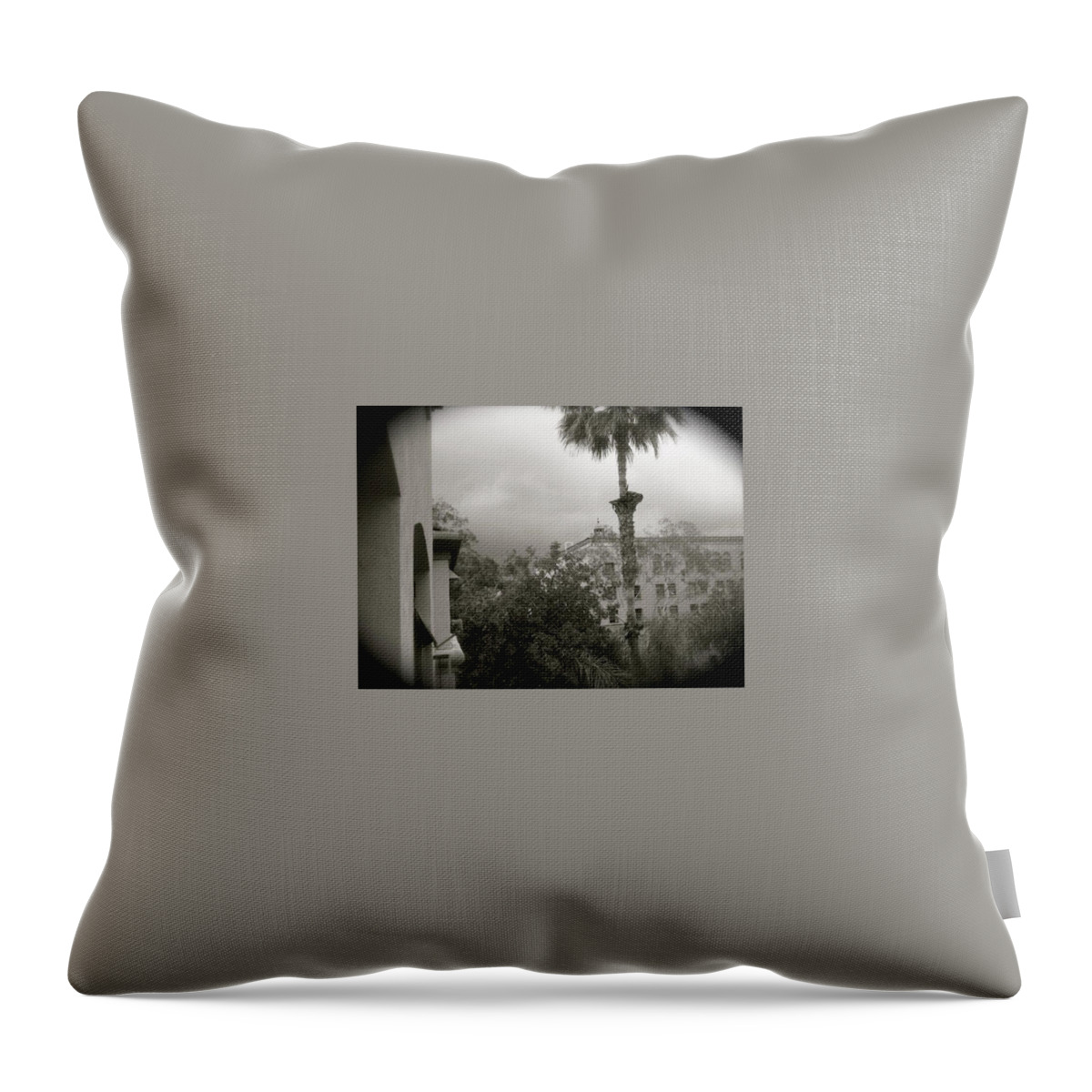Pasadena Throw Pillow featuring the photograph Transported by Calvin Boyer