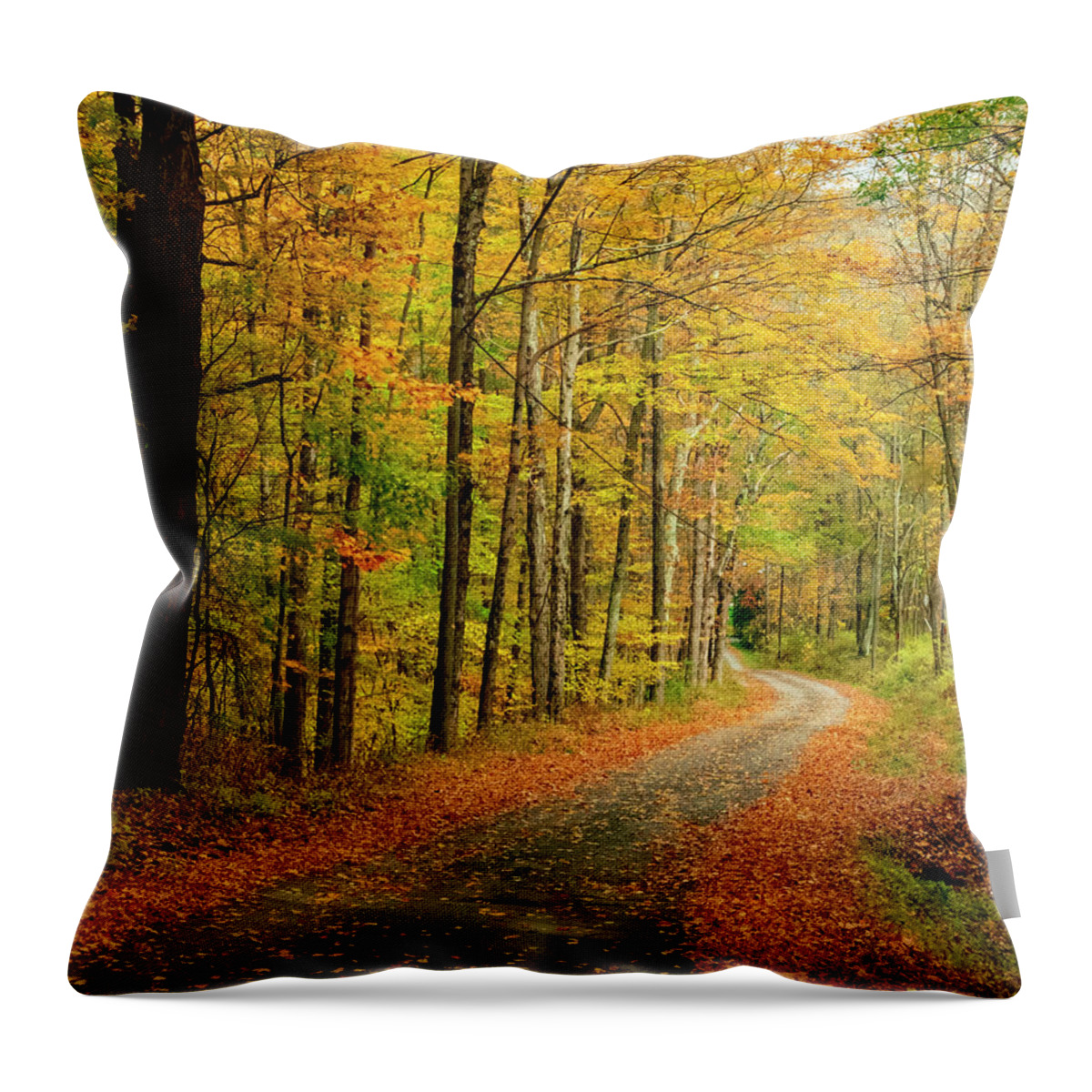 Autumn Throw Pillow featuring the photograph Travel Into Autumn by Cathy Kovarik