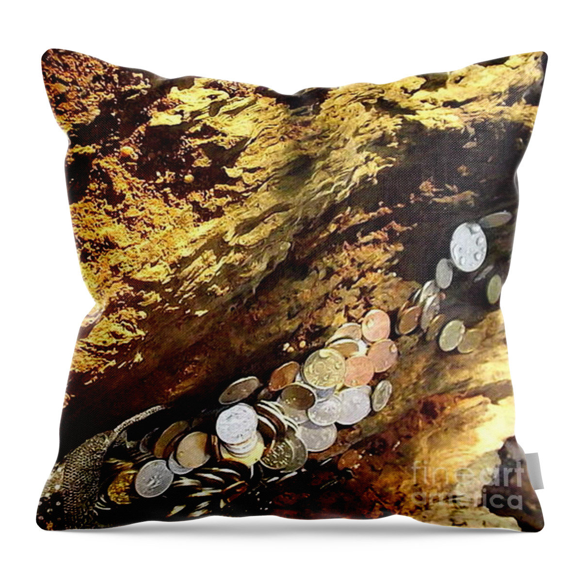 Old Coins Throw Pillow featuring the photograph Treasure Bark 4 by Denise Morgan