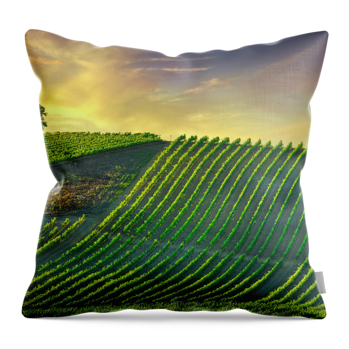 Vineyard Throw Pillow featuring the photograph Tree and Vineyards at Sunset. Castellina in Chianti by Stefano Orazzini