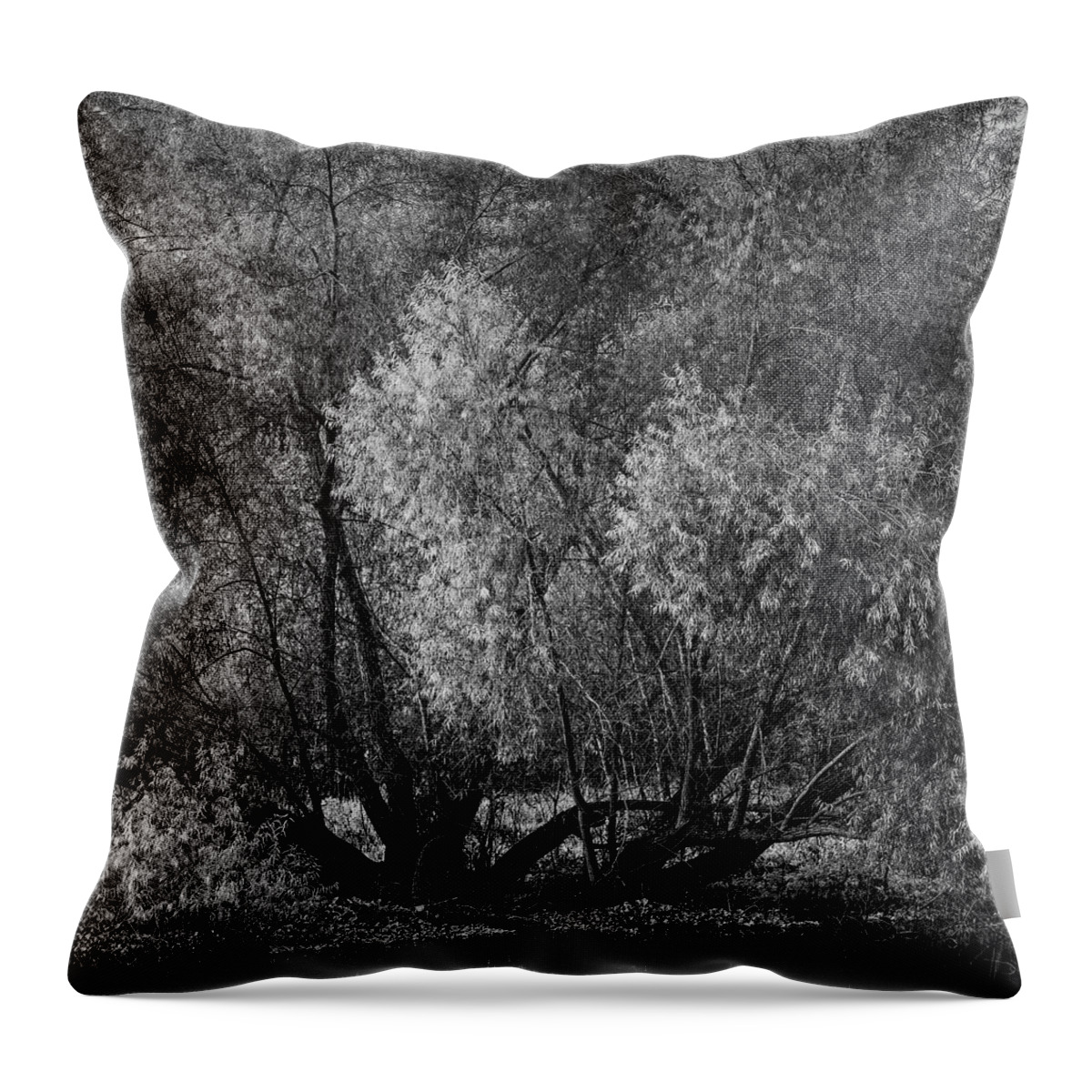 B&w Throw Pillow featuring the photograph Tree At New Horseshoe Lake by Mike Schaffner