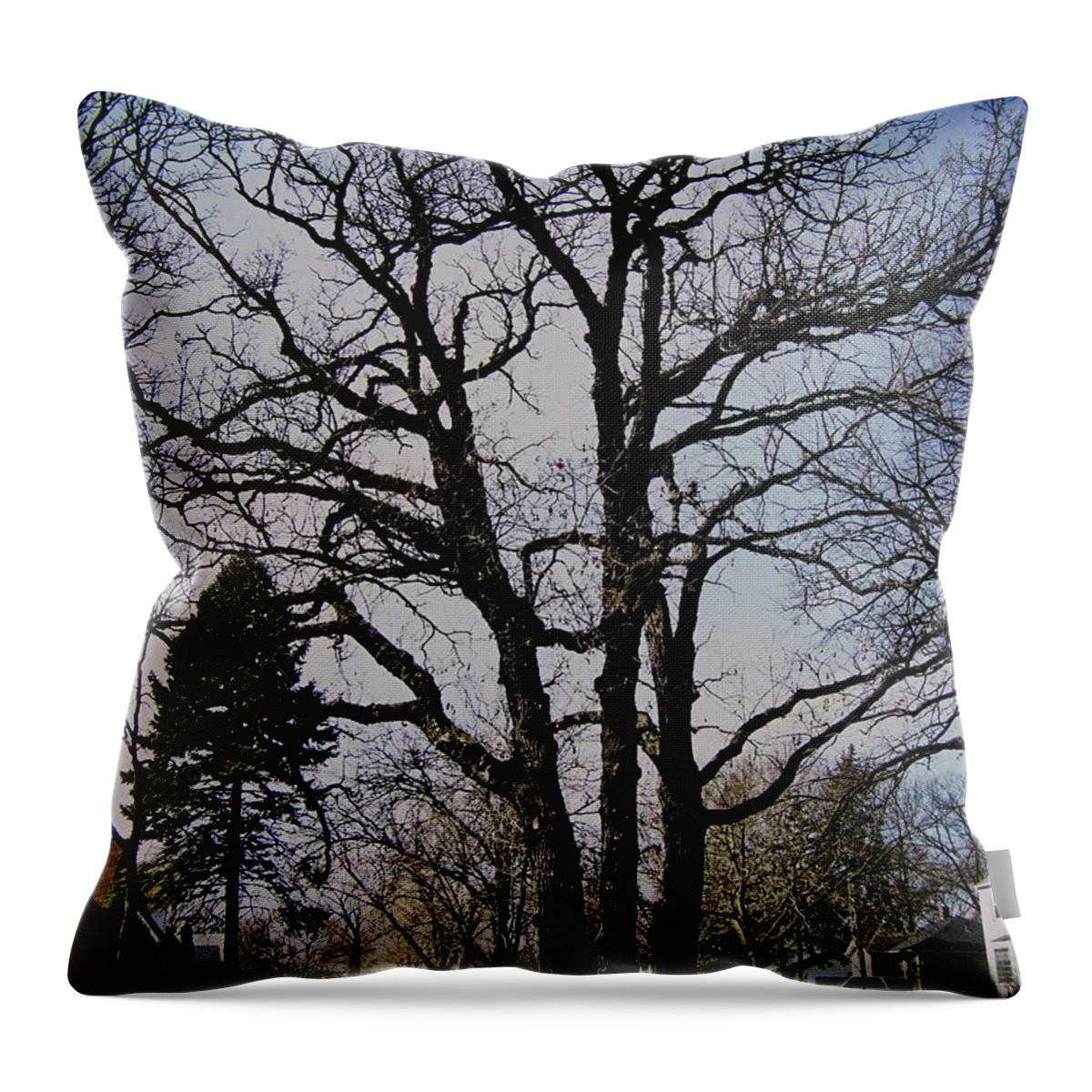 Landscape Throw Pillow featuring the photograph Tree Branches Stretch Into the Sky by Frank J Casella