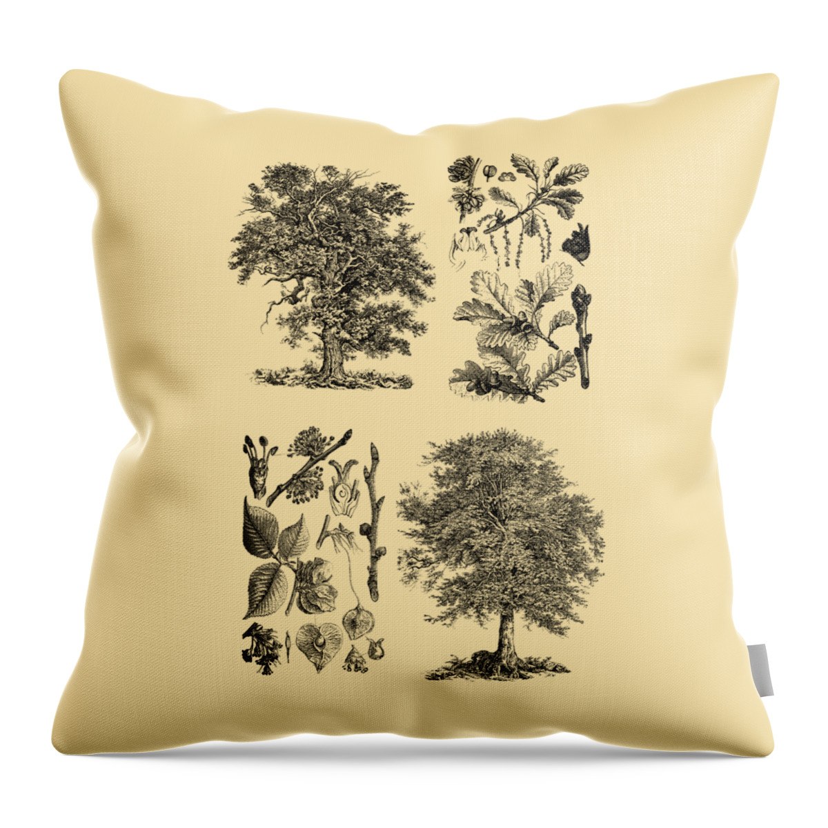Tree Throw Pillow featuring the digital art Tree Diagram by Madame Memento
