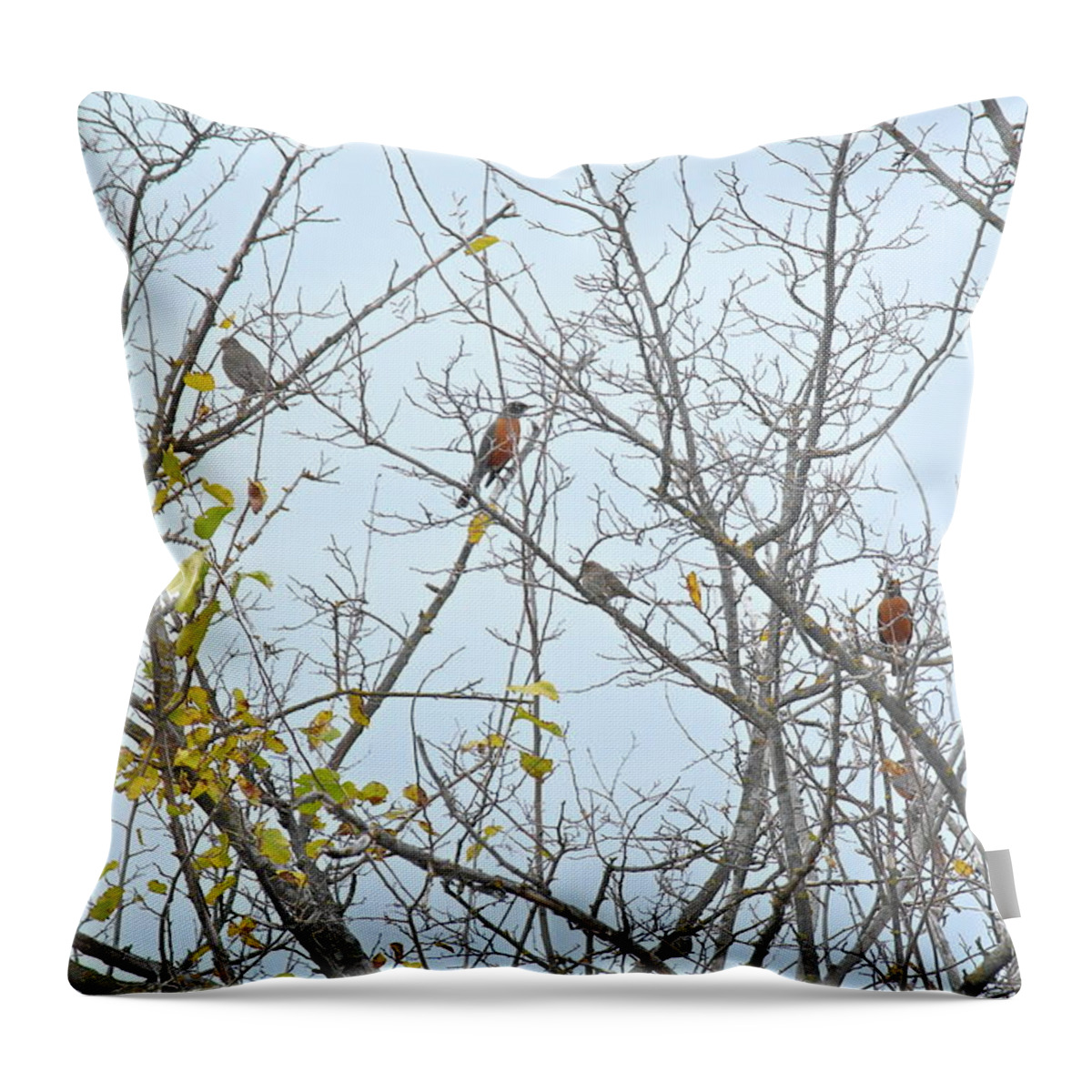 Robins Throw Pillow featuring the photograph Tree Full of Robins by Michele Myers
