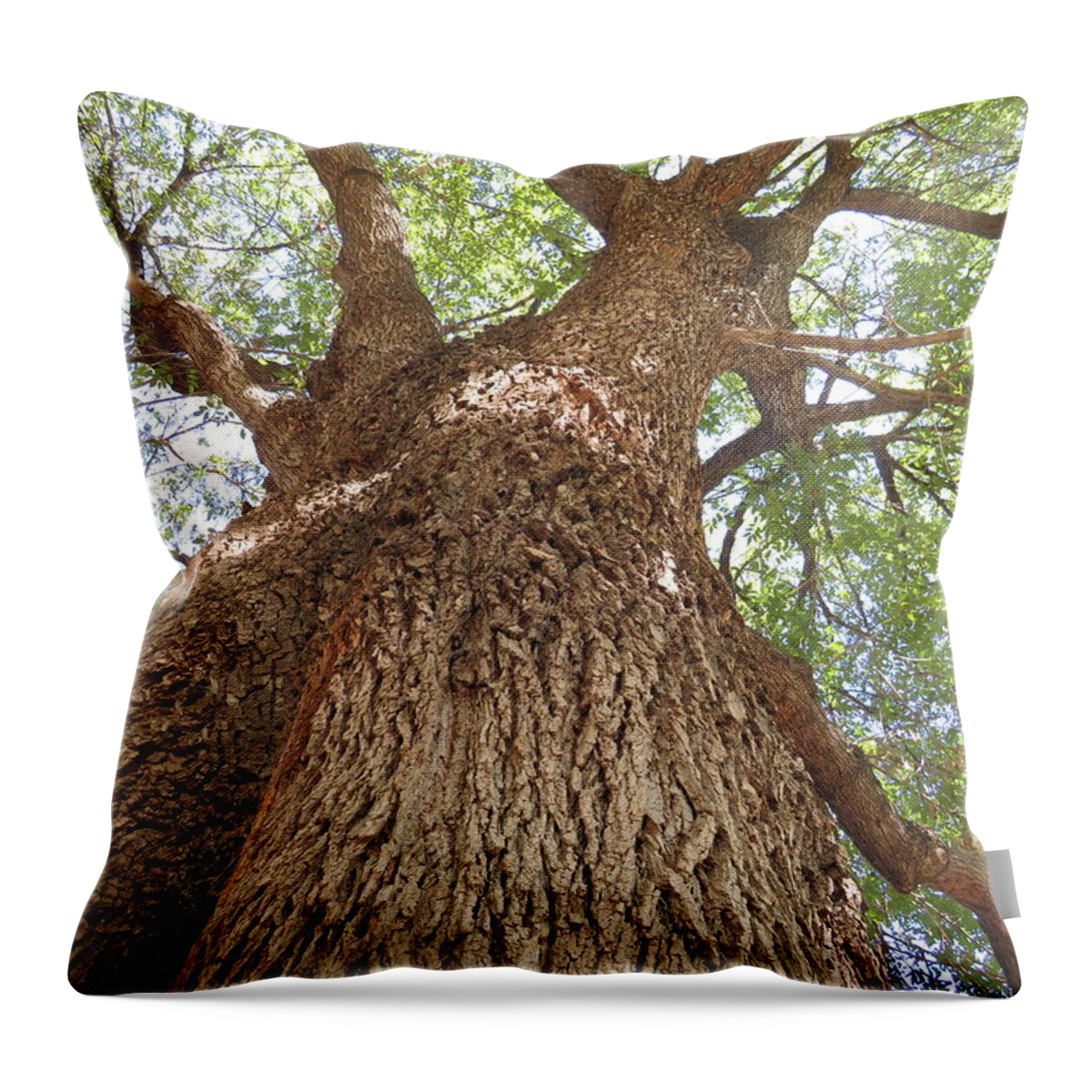  Throw Pillow featuring the photograph Tree Giant by Raymond Fernandez