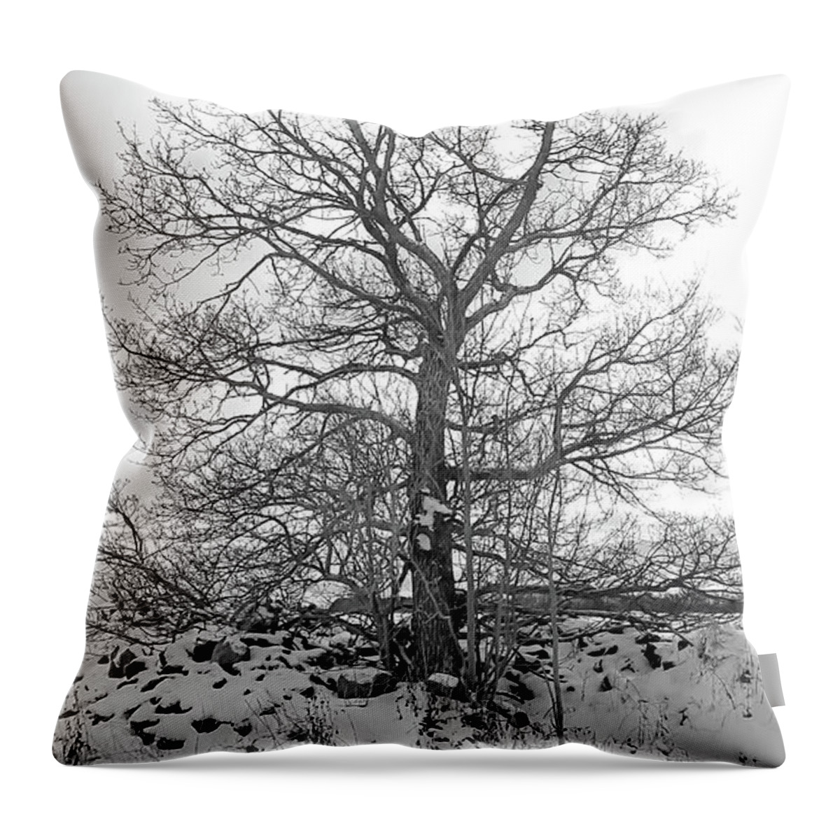 Tree Throw Pillow featuring the photograph Tree in the Snow by Elaine Berger