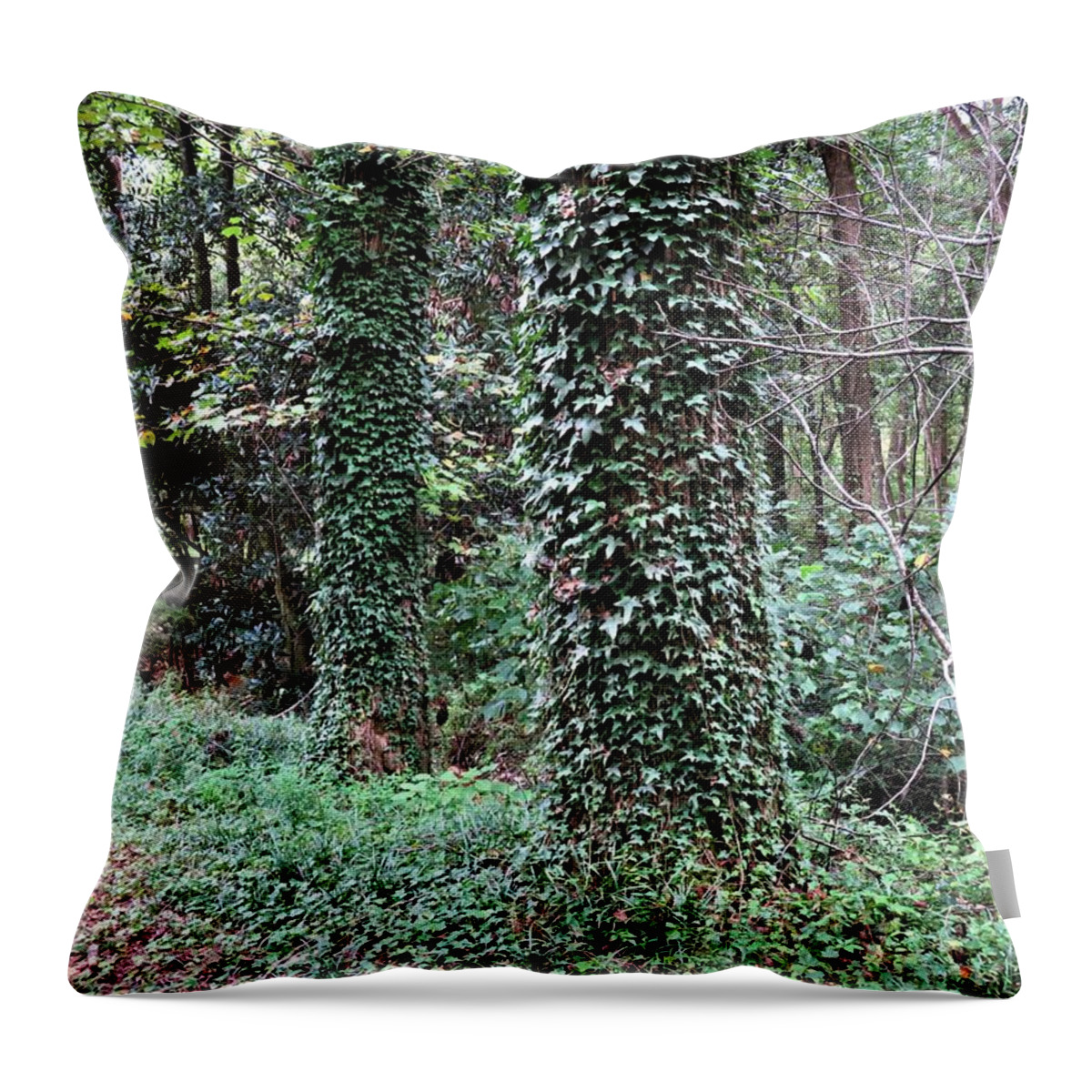 Trees Throw Pillow featuring the photograph Tree Ivey Deuce by Ed Williams