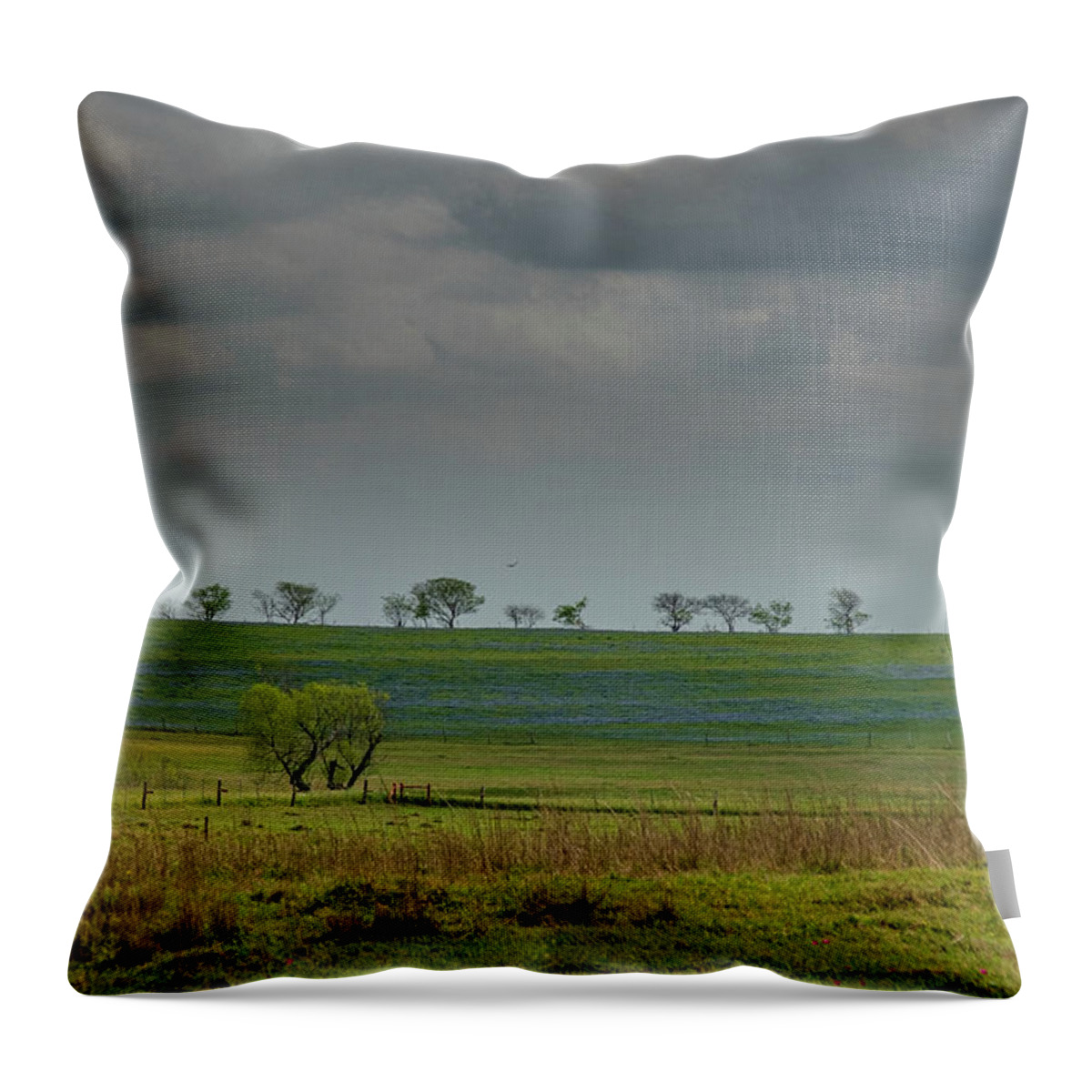Exas Bluebonnets Throw Pillow featuring the photograph Tree Line Blues by Johnny Boyd