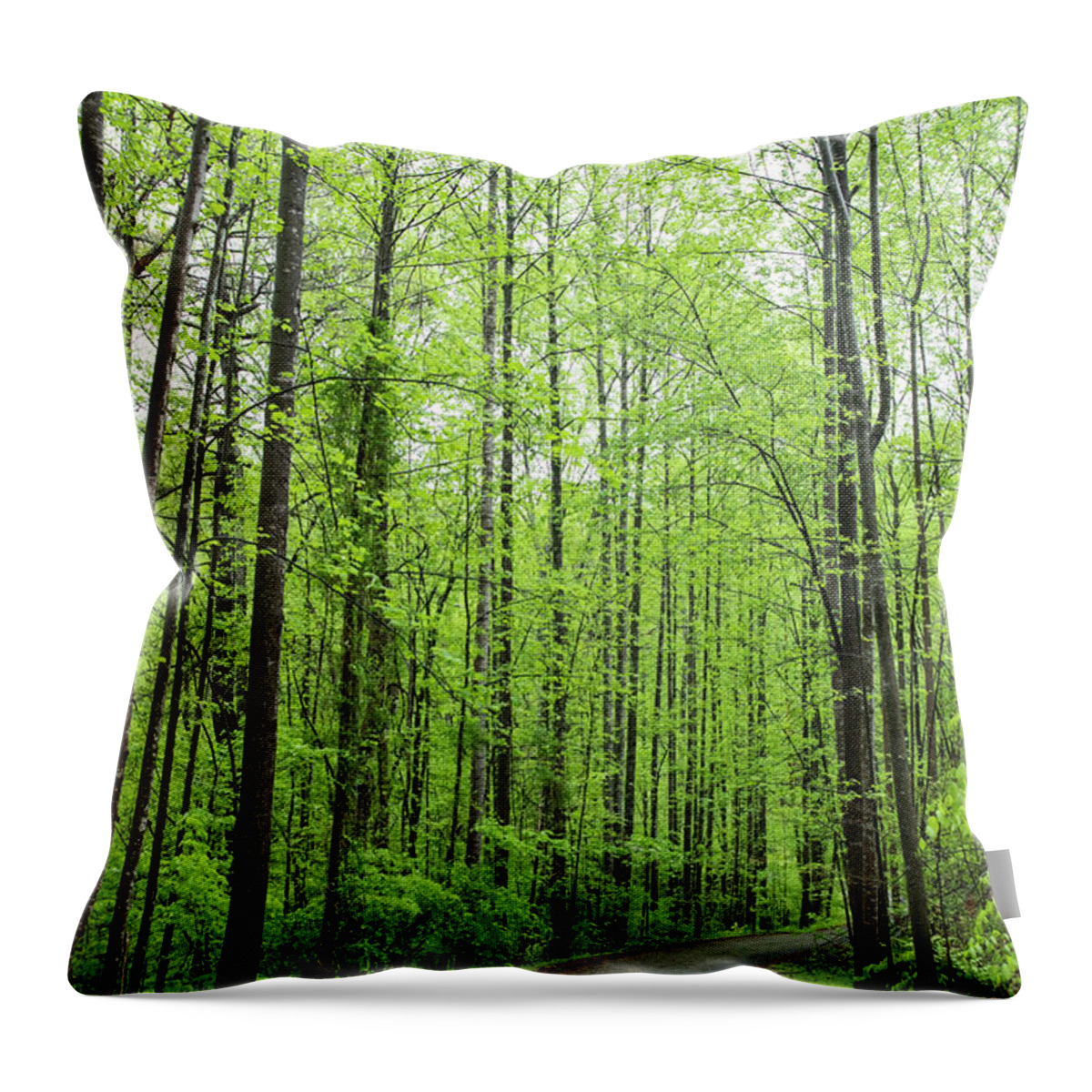 Curving Throw Pillow featuring the photograph Tree-lined lane in early spring by Charles Floyd