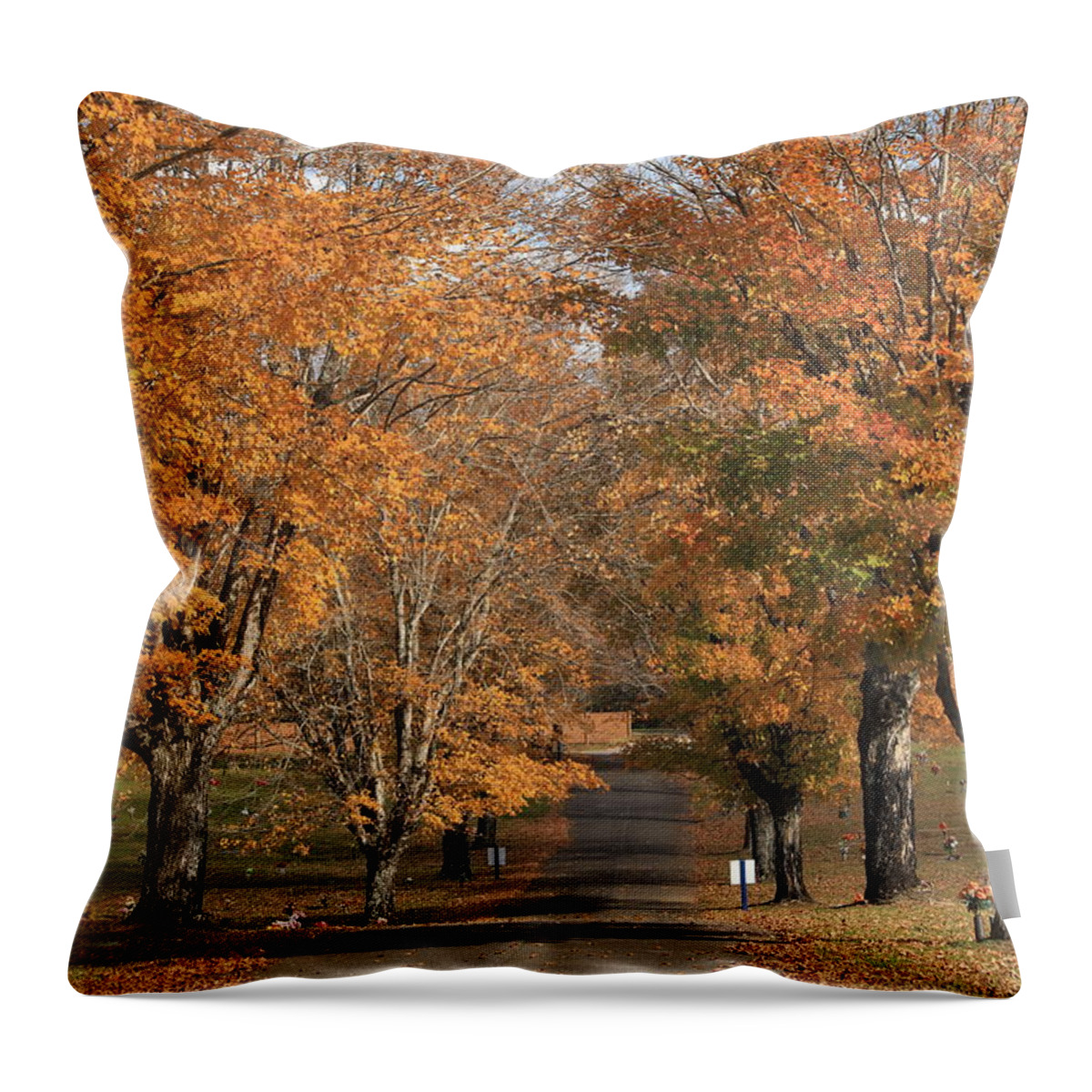 Fall Trees Throw Pillow featuring the photograph Tree Lined Street by Karen Ruhl