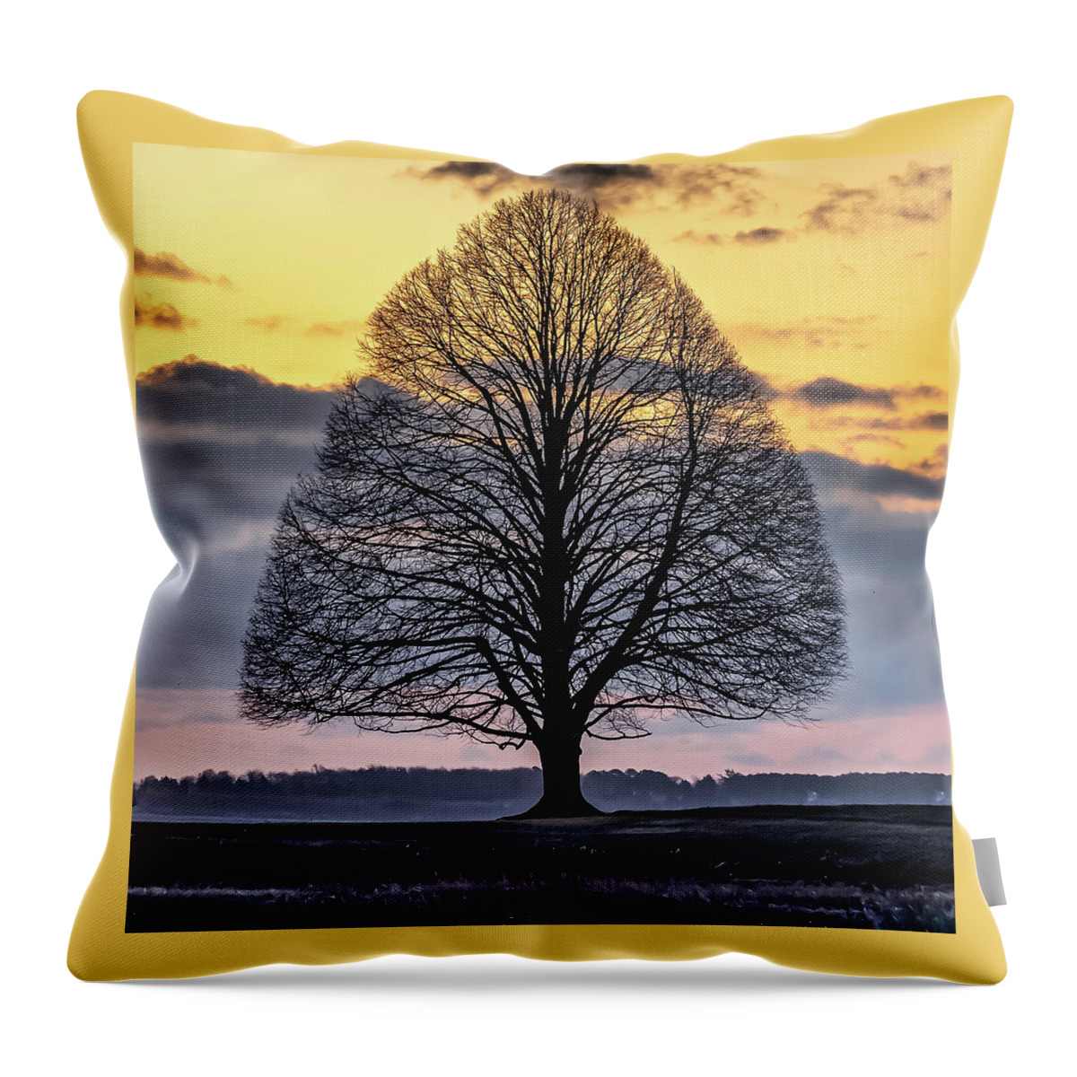 Tree. Sunrise Throw Pillow featuring the photograph Tree of Shadows by William Bretton