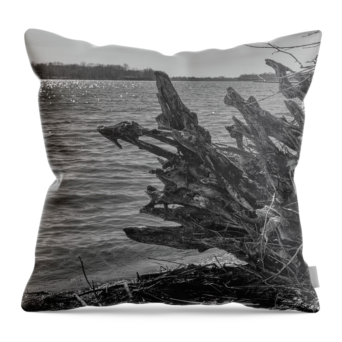 Tree Throw Pillow featuring the photograph Tree roots along the River by Alan Goldberg