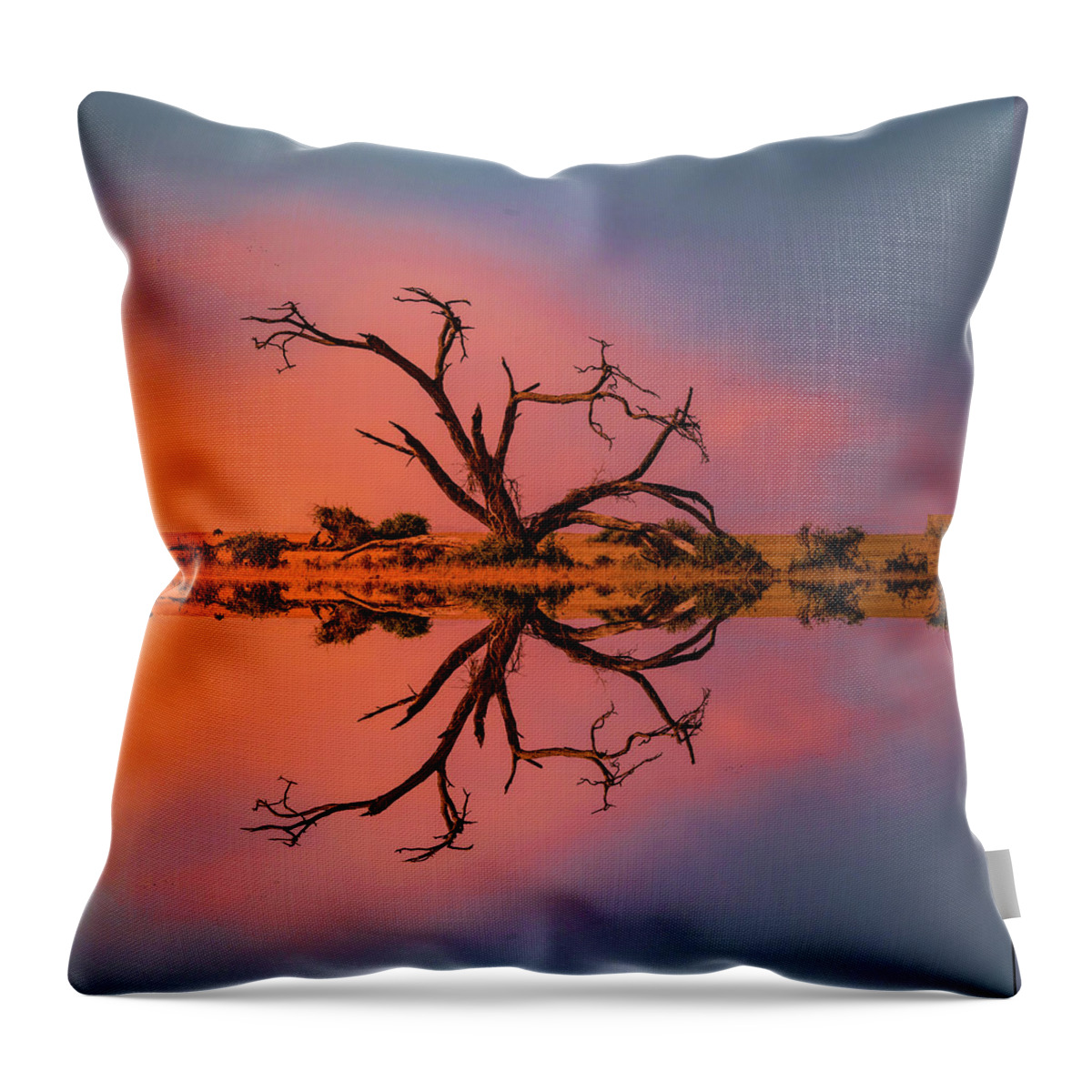 Tree Throw Pillow featuring the photograph Tree Sunset by Roni Chastain