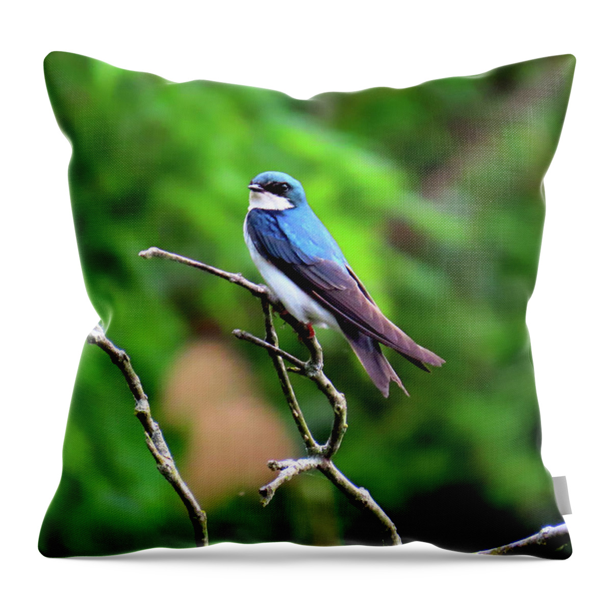 Birds Throw Pillow featuring the photograph Tree Swallow at Palmyra Nature Cove by Linda Stern