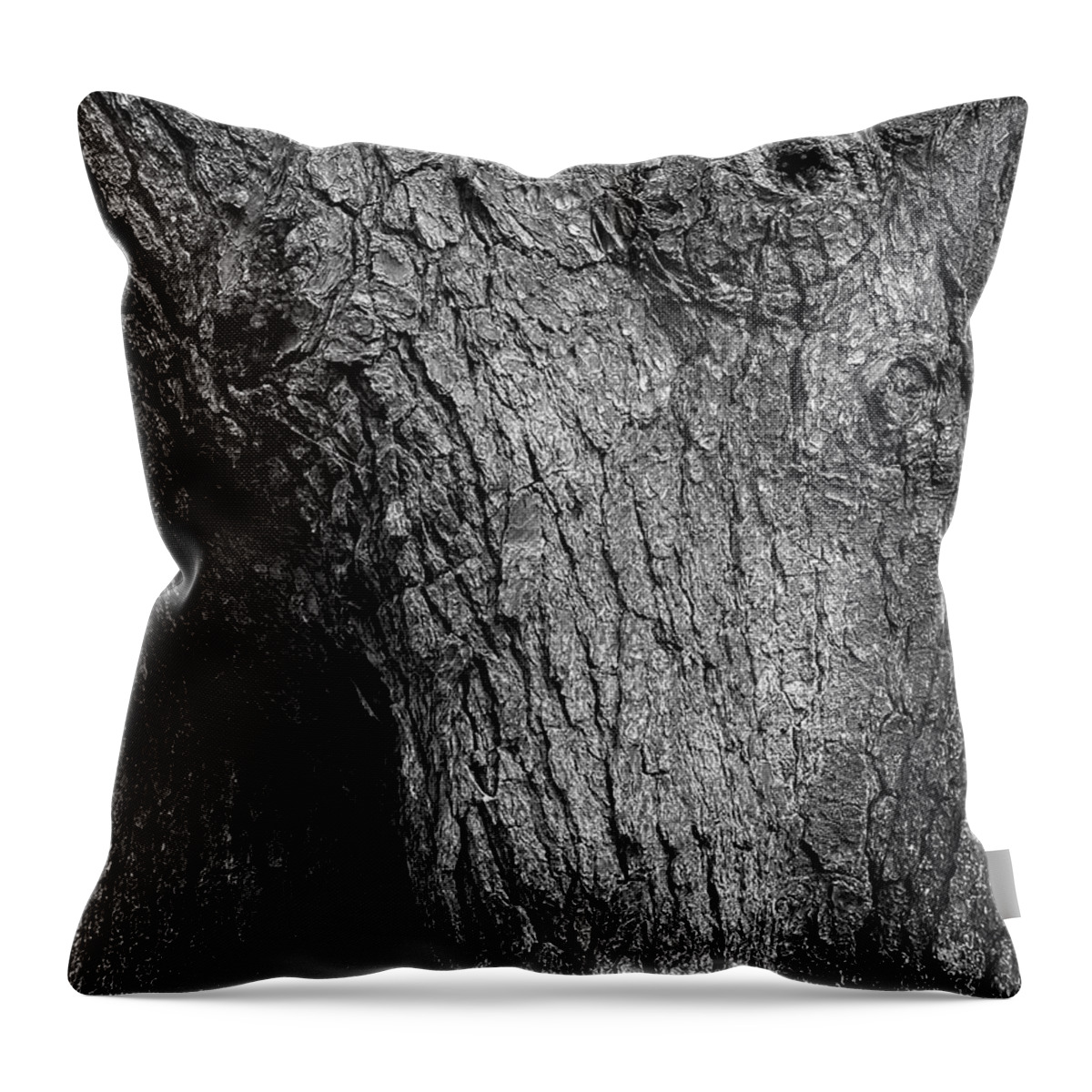 Black And White Throw Pillow featuring the photograph Tree Trunk Boyden XI BW by David Gordon