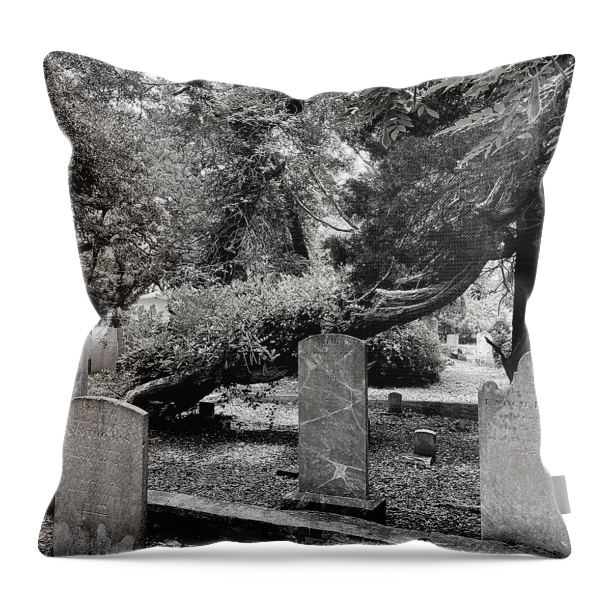 Beaufort Throw Pillow featuring the photograph Treenado BW by Lee Darnell
