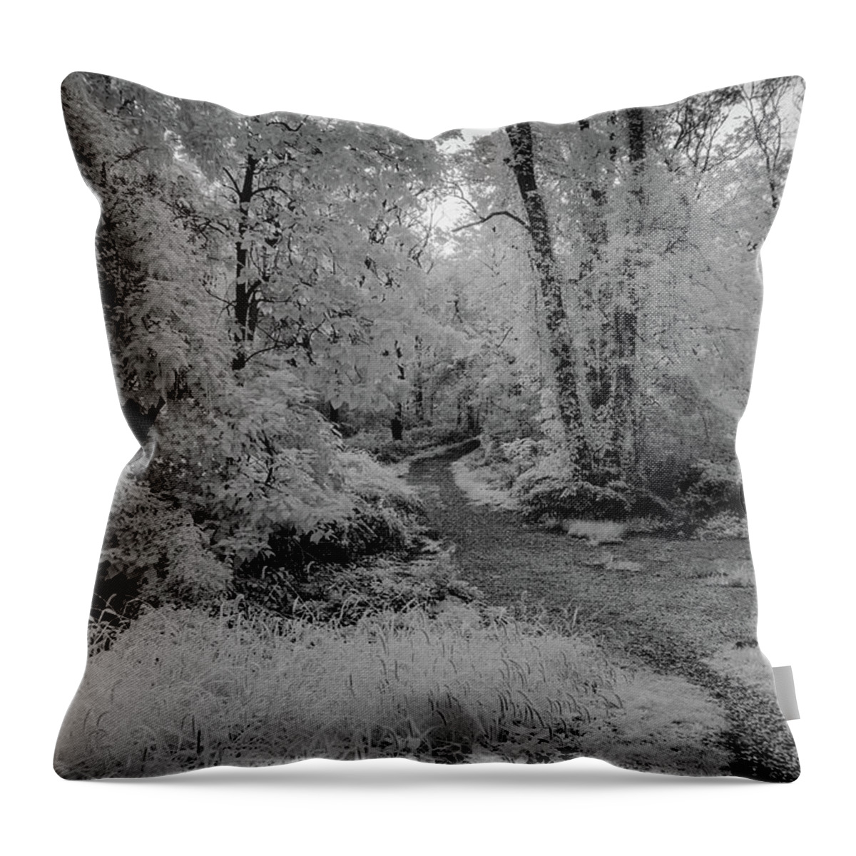 Trees Throw Pillow featuring the photograph Trees along the path in infrared by Alan Goldberg