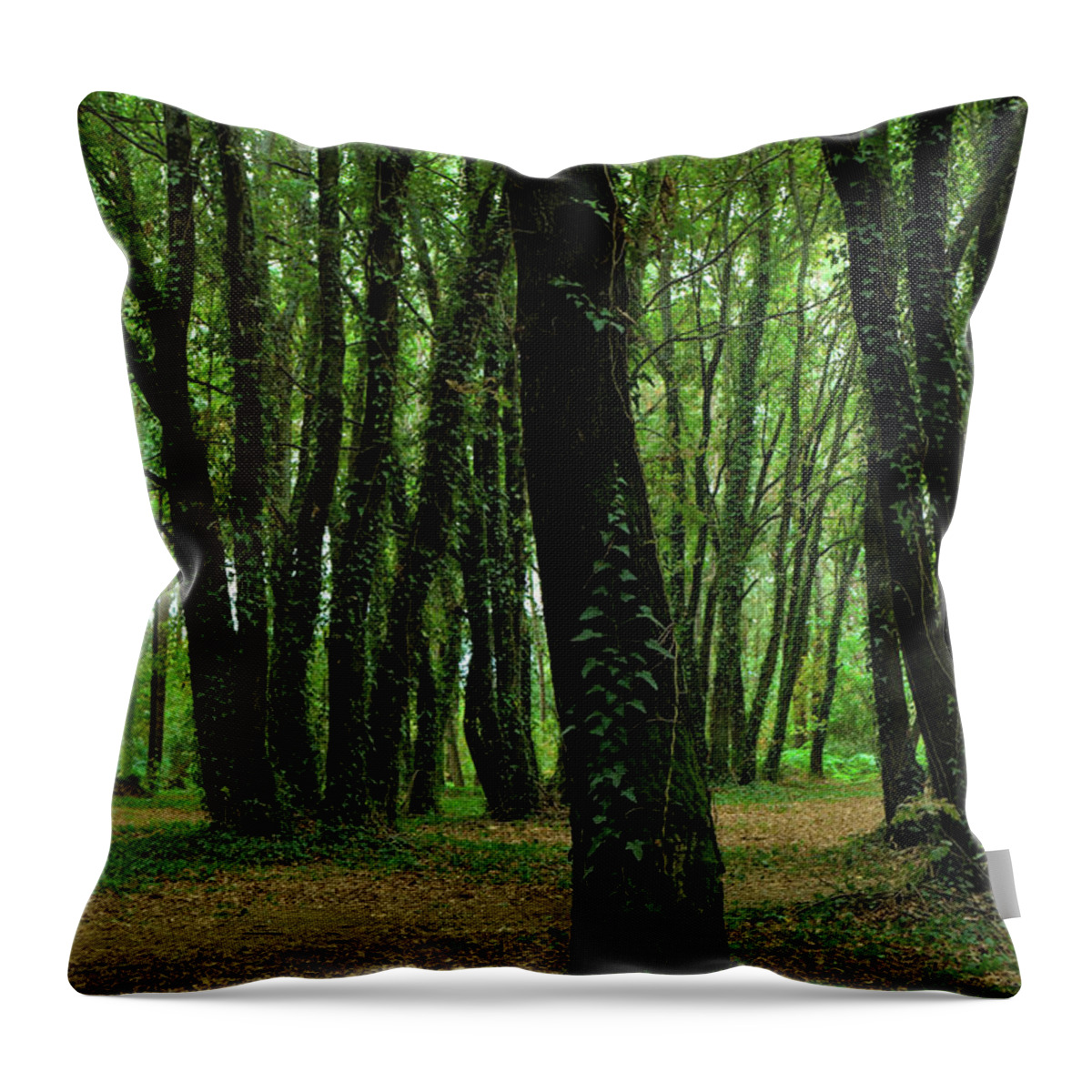 Sao Pedro Do Sul Throw Pillow featuring the photograph Trees and Nature in Carvalhais by Angelo DeVal