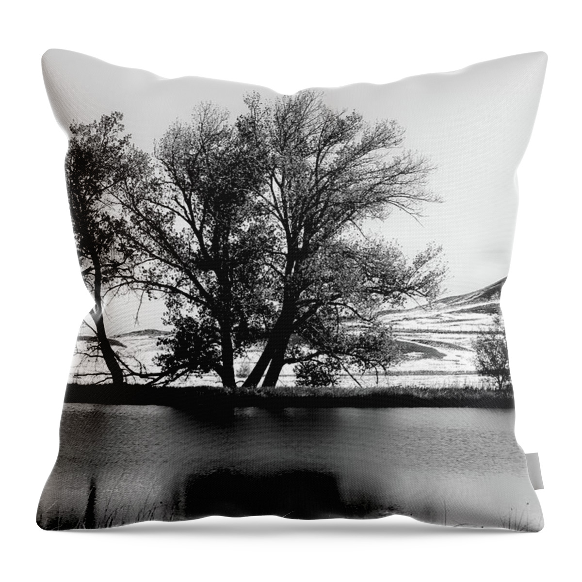 Cottonwood Trees Throw Pillow featuring the photograph Trees at the fishing pond by Cathy Anderson