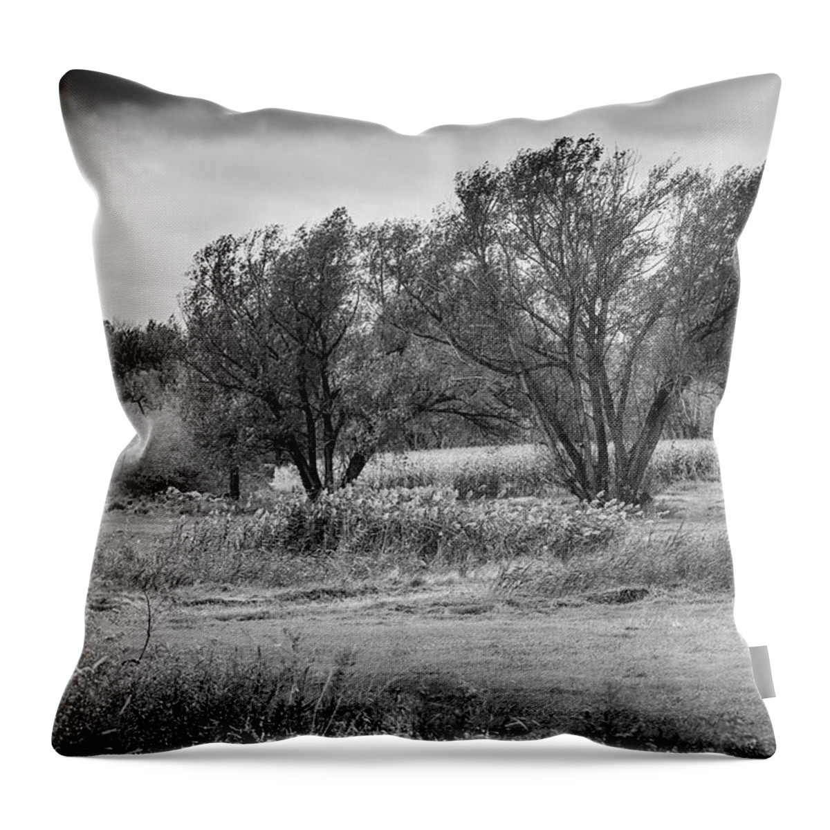 Trees Throw Pillow featuring the photograph Trees in a Farmers Field by Alan Goldberg