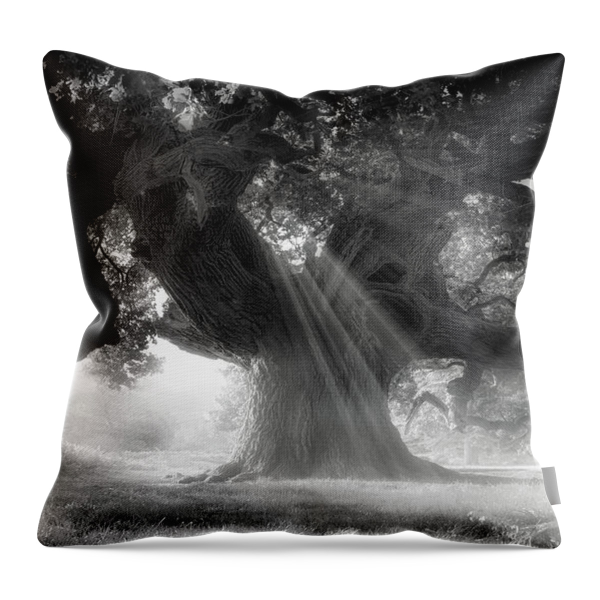 Throw Pillow featuring the photograph Phantom tree by Remigiusz MARCZAK